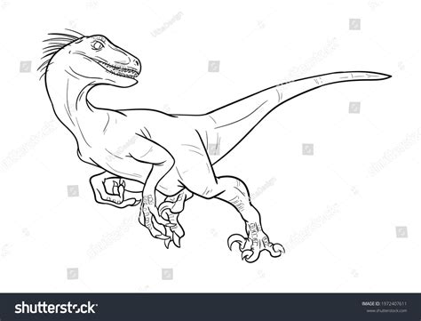 Hand Drawn Raptor Velociraptor Vector Line Stock Vector (Royalty Free ...