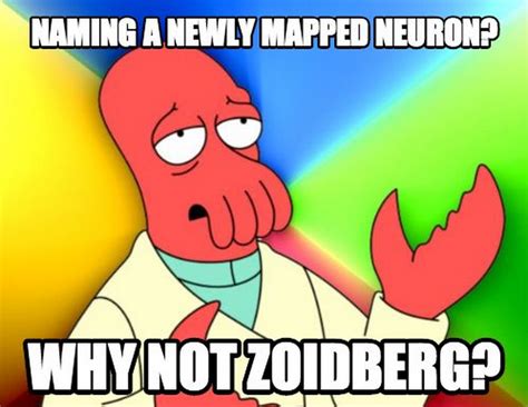 The Zoidberg Neuron