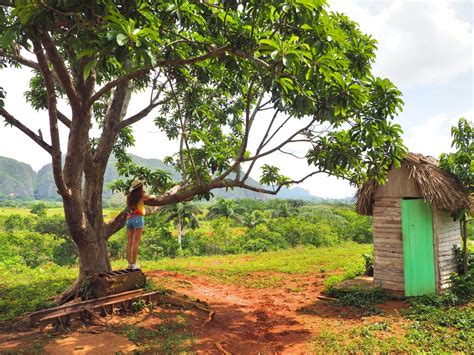 The Best of Viñales Valley in Cuba - Adventure Catcher