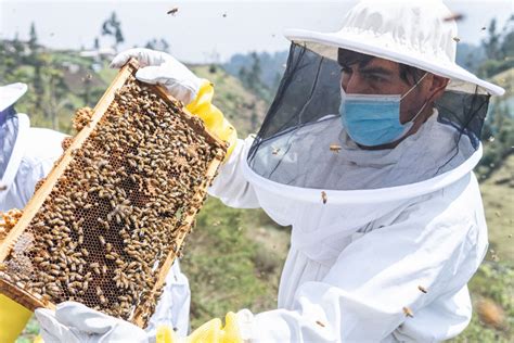 2023’s Best States for Beekeeping