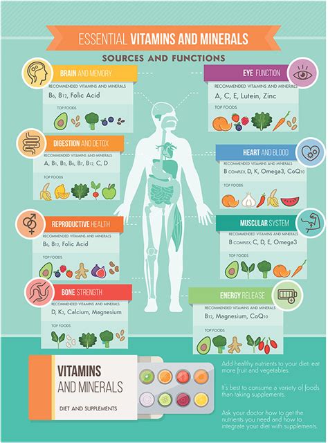 Essential Vitamins And Minerals: Sources & Functions (Infographic)