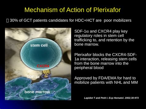 (PDF) Plerixafor HSCs mobilization in GCTs 26.06.2021 update