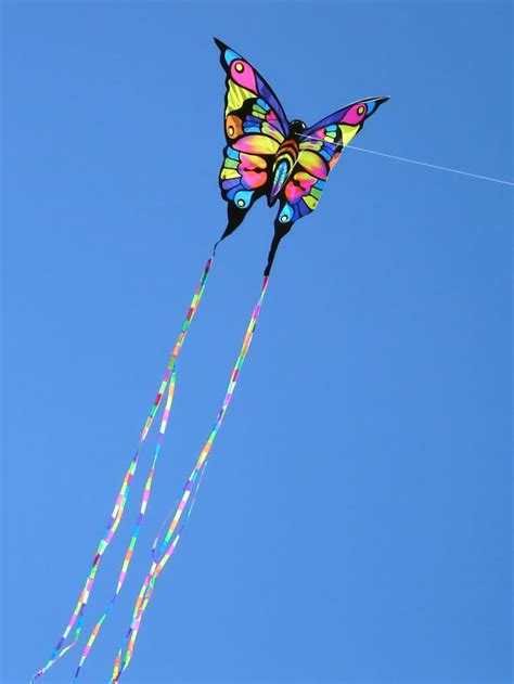 30 best ~LET'S GO FLY A KITE" images on Pinterest | Kites, Kite and ...