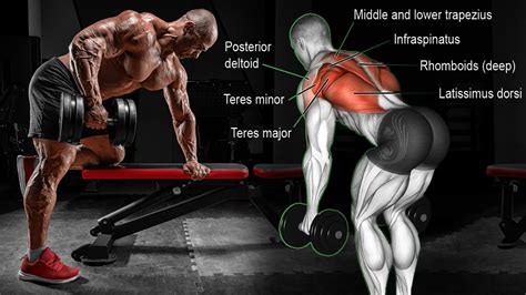 Bent Over Narrow Dumbbell Rows