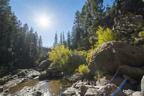 The Jemez Mountains – The Lobo Life