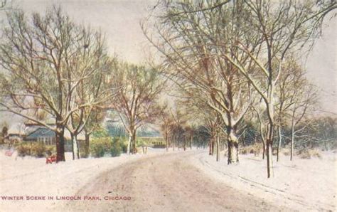 POSTCARD – CHICAGO – LINCOLN PARK – WINTER SCENE – c1910 | CHUCKMAN'S PHOTOS ON WORDPRESS ...