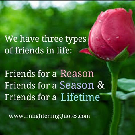 Types Of Friends Quotes. QuotesGram