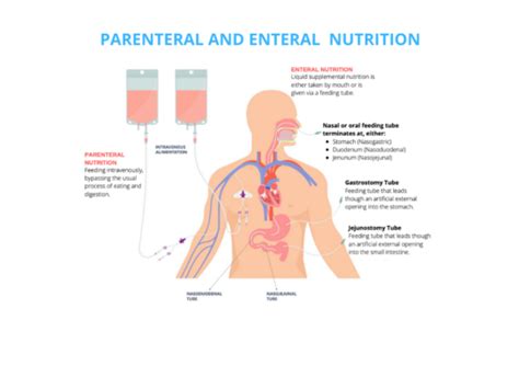 What is Parenteral and Enteral Nutrition? - CredaHealth