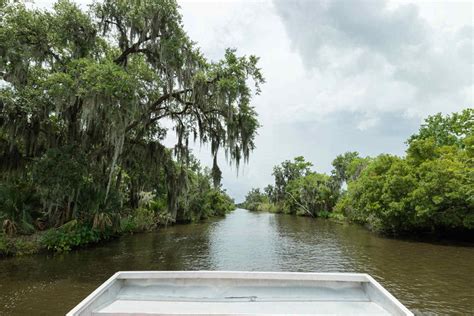 12 Best Swamp Tours in Louisiana ️ 2024 Update