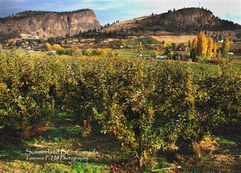 Terence Hill Photography: Summerland BC Canada