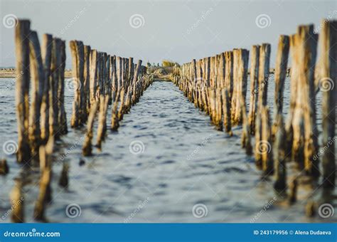 Lake Pomorie, Protected Area, Located on the Via Pontica Bird Migration Route. Bulgarian Lake ...