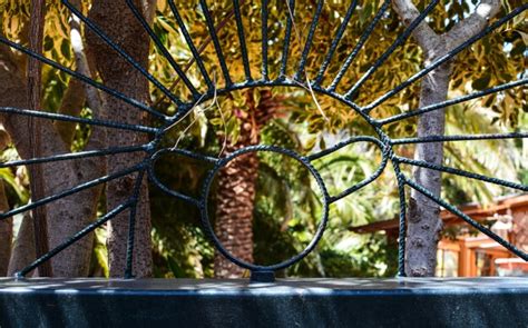 Premium Photo | Close-up of spiral on metal plant