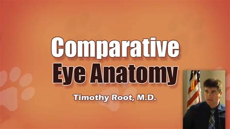 Comparative Eye Anatomy Video - TimRoot.com