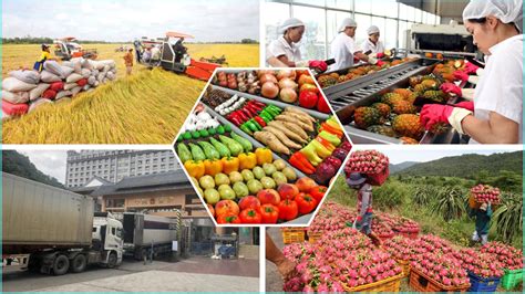 Agricultural exports in 2022 exceed US$ 49 billion