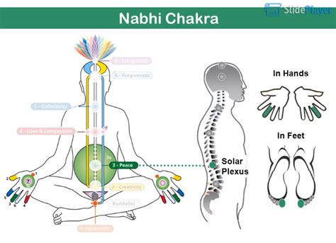 Nabhi Chakra (Peace) – Sahaja Yoga Science