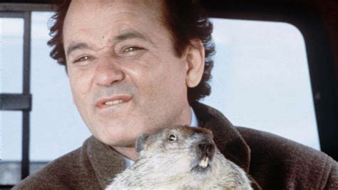 Groundhog Day Insurance Salesman / Sam S Weird Movie Theories Ned ...