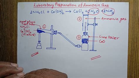 Laboratory Method of preparation of Ammonia Gas - II - YouTube