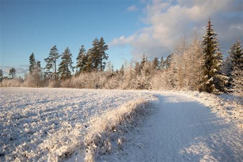 A Beautiful Early Winter Scenery in Northern Europe. Morning Landscape ...