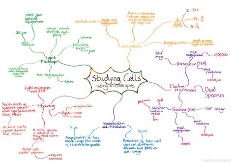 Biology Archives - Andrew Pover | Biology notes, Thinking map, Biology revision