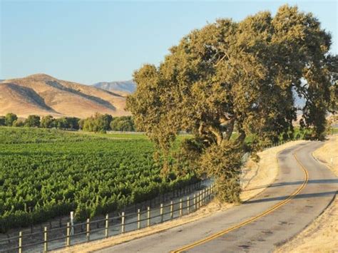 The 10 Best Santa Barbara Wineries & Wine Tours - California Crossroads