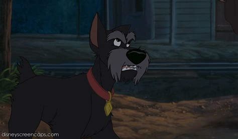 Jock - Lady And The Tramp Wiki