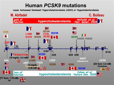 Schematic representation of the exon/intron structure of the PCSK9 gene... | Download Scientific ...