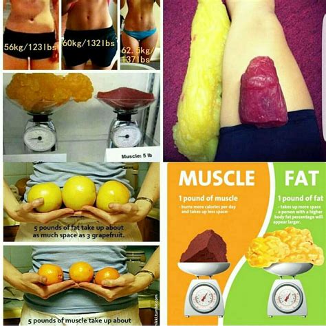 In addition to my other muscle vs fat post here's another visual. Sometimes we are more visual ...