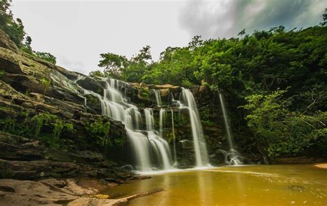 Features - Paradise Valley Nature Reserve