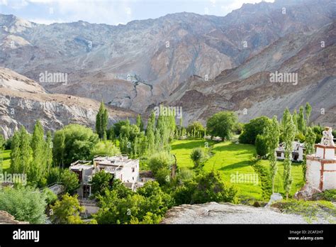 Ladakh, India - Chilling Village in Leh, Ladakh, Jammu and Kashmir ...