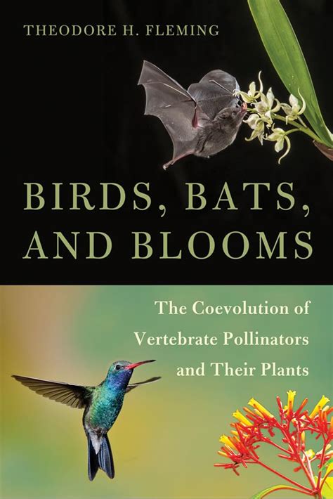 Birds, Bats, and Blooms: The Coevolution of Vertebrate Pollinators and Their Plants: Fleming ...