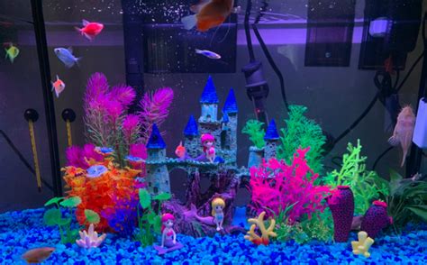 The 5 BEST Glofish Tank Decorations - Fishtank Expert