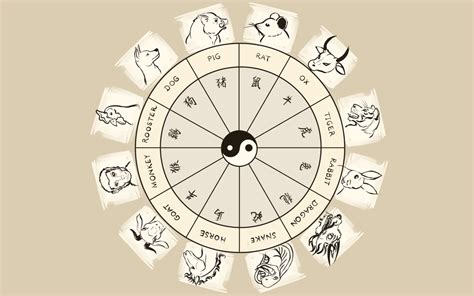 Birth Month Animals Chart