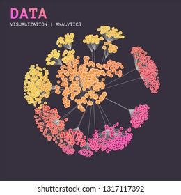 Big Data Spatial Visualization Concept Infographics Stock Vector (Royalty Free) 1317117392 ...