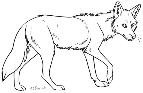 Coyote Lineart by Kaylink on DeviantArt