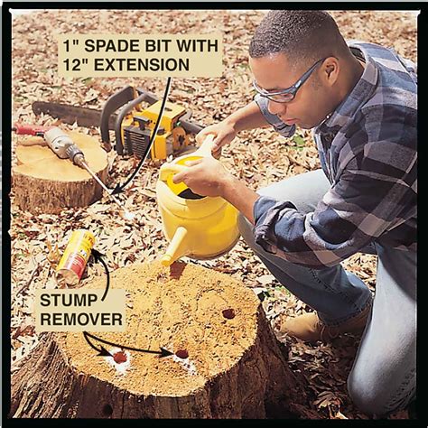 How to Remove a Tree Stump Painlessly (DIY) | Family Handyman