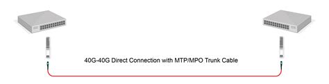 Applications of MTP/MPO Cable Types - Prolabs