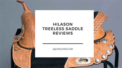 Hilason Treeless Saddle Reviews: Is It Worth the Hype? – equineathon.com