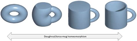 Homeomorphic transformation of a doughnut-shaped object into a... | Download Scientific Diagram