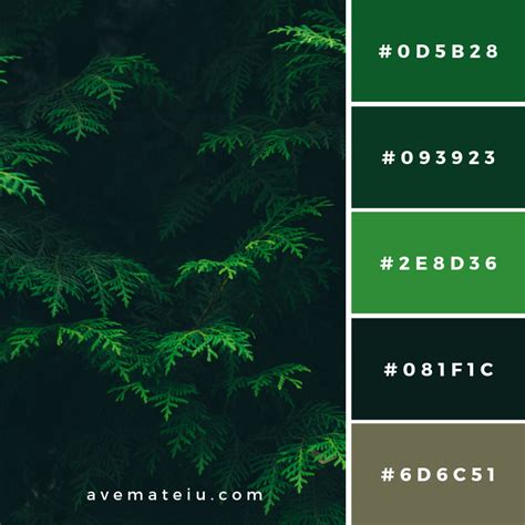 Green Pine Tree Leaves Color Palette 145 | Color palette, Green colour palette, Color palette design