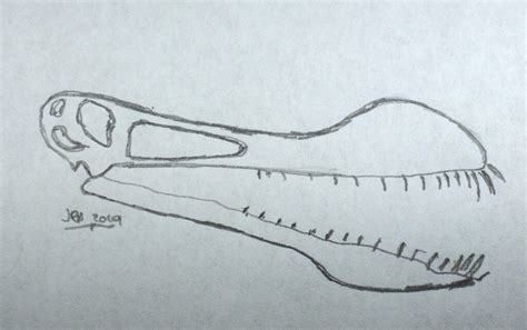 Fossil Pterosauria Teeth