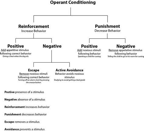 Operant Conditioning Chart