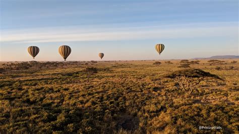 Hot Air Balloon Safari - Enriching your Safari - Pristine Trails