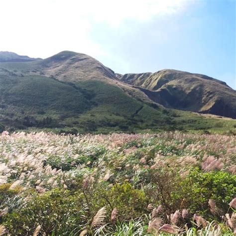 Yangmingshan National Park & Hot Spring Tour