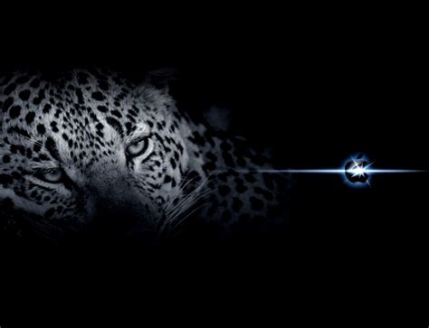 Mac Os X Snow Leopard Wallpaper Hd - WallpaperSafari