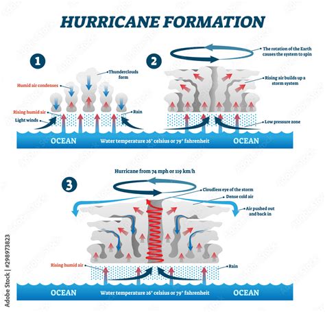 Hurricane formation labeled vector illustration. Educational wind storm ...