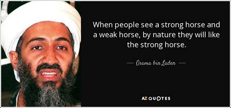 Osama bin laden Quotes. QuotesGram