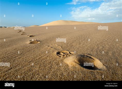 Sand Dunes of the Western Desert of Egypt Stock Photo - Alamy