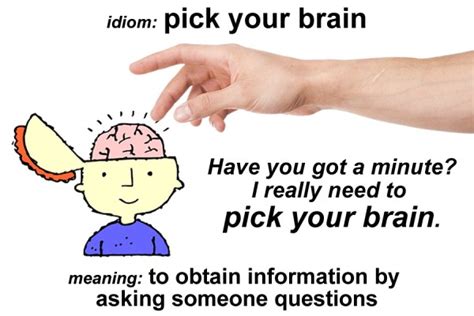 Idiom - Pick your brain - Funky English