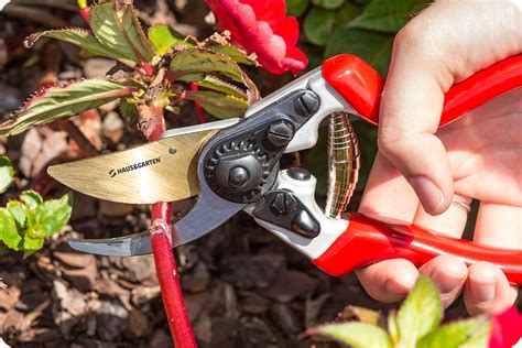 How To Use Pruning Shears - Haus & Garten®