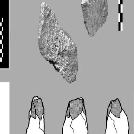 -Selected artefacts from Bluefish Cave II: (a) microblade core; (b)... | Download Scientific Diagram